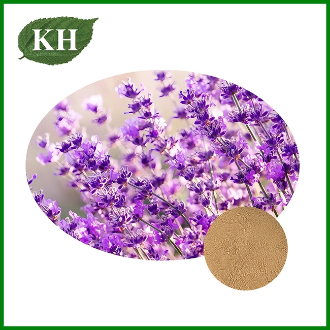 Lavender Extract