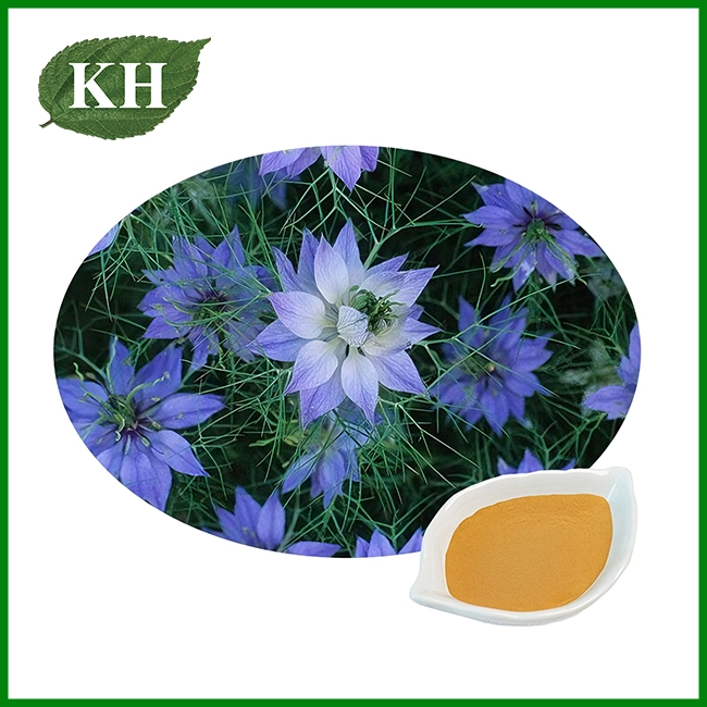 Poudre d'extrait de graines de cumin noir