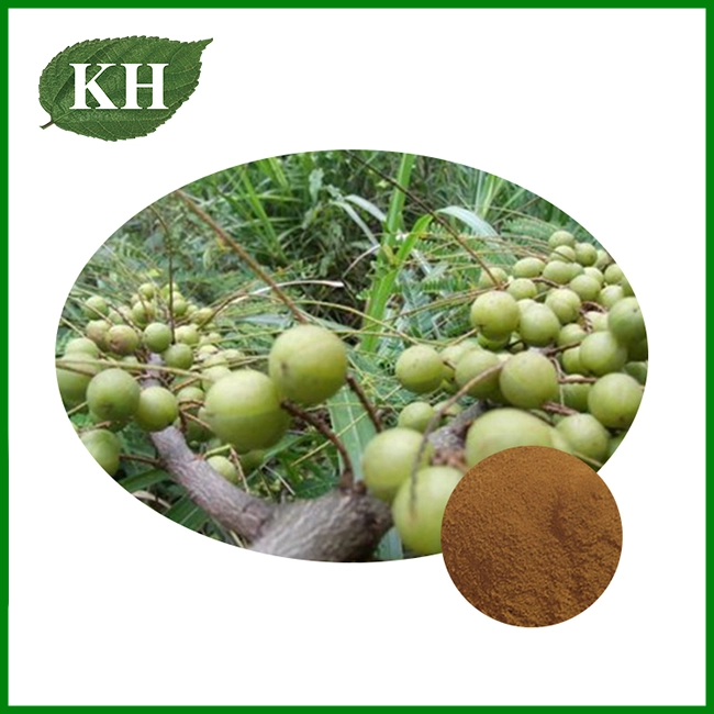 Polvo de extracto de pimienta negra