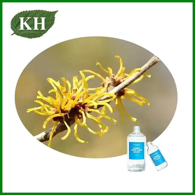 Ekstrak Witch Hazel